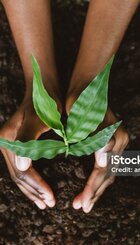 istockphoto-1462151150-2048x2048.jpg