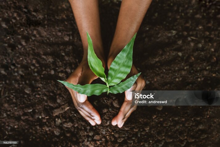 istockphoto-1462151150-2048x2048.jpg